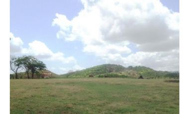 Venta de finca en Pesé, Herrera