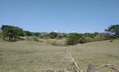 Venta de finca en Pesé, Herrera