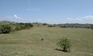 Venta de finca en Pesé, Herrera