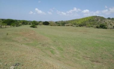 Venta de finca en Pesé, Herrera
