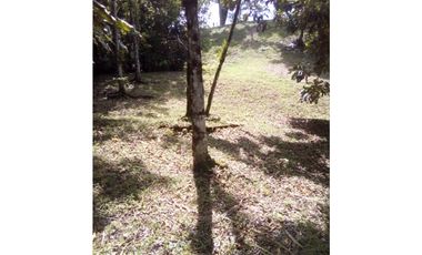 VENTA DE TERRENO EN ISLA COLÓN BOCAS DEL TORO, PANAMA 