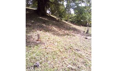 VENTA DE TERRENO EN ISLA COLÓN BOCAS DEL TORO, PANAMA 