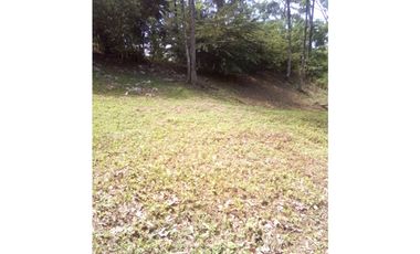 VENTA DE TERRENO EN ISLA COLÓN BOCAS DEL TORO, PANAMA 