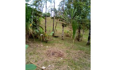 VENTA DE TERRENO EN ISLA COLÓN BOCAS DEL TORO, PANAMA 