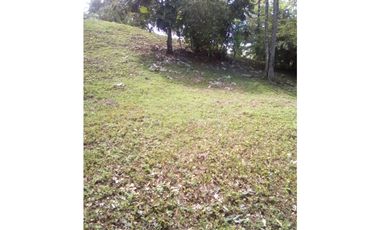VENTA DE TERRENO EN ISLA COLÓN BOCAS DEL TORO, PANAMA 