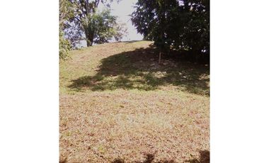 VENTA DE TERRENO EN ISLA COLÓN BOCAS DEL TORO, PANAMA 