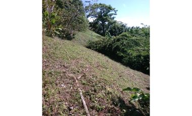 VENTA DE TERRENO EN ISLA COLÓN BOCAS DEL TORO, PANAMA 