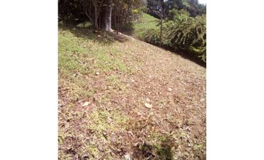 VENTA DE TERRENO EN ISLA COLÓN BOCAS DEL TORO, PANAMA 