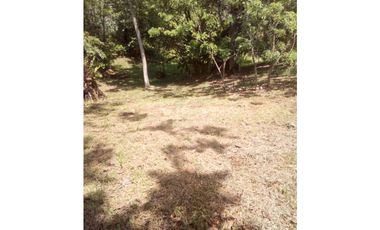 VENTA DE TERRENO EN ISLA COLÓN BOCAS DEL TORO, PANAMA 