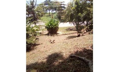 VENTA DE TERRENO EN ISLA COLÓN BOCAS DEL TORO, PANAMA 