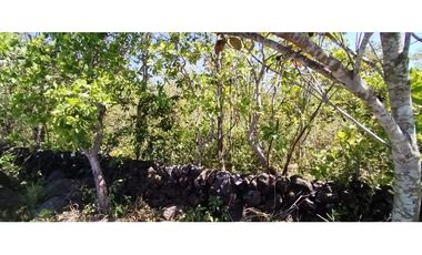 Lote  en Venta  La Acequia Potrerillos Abajo