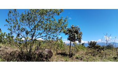 Lote  en Venta  La Acequia Potrerillos Abajo