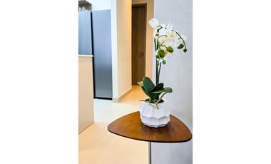 VENTA APARTAMENTO EN BRISAS DEL GOLF PH BRISAS ZEN