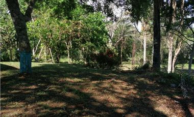 Se vende 17 has en Nuevo Emperador Panamá Oeste JS