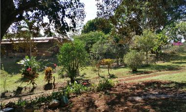 Se vende 17 has en Nuevo Emperador Panamá Oeste JS