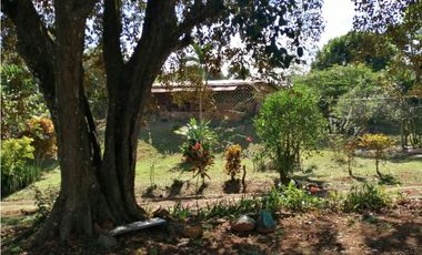 Se vende 17 has en Nuevo Emperador Panamá Oeste JS