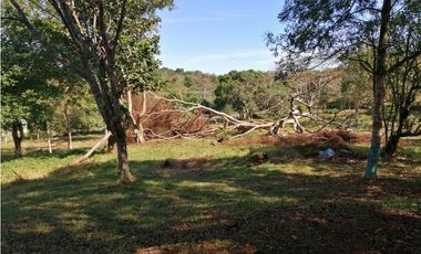 Se vende 17 has en Nuevo Emperador Panamá Oeste JS