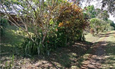 Se vende 17 has en Nuevo Emperador Panamá Oeste JS