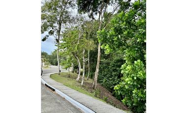 SE VENDE CASA  EN ALBROOK  PH VILLE DI FIRENZE