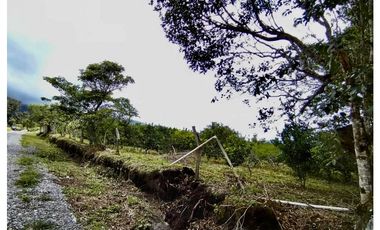 Terreno - Potrerillos Dolega