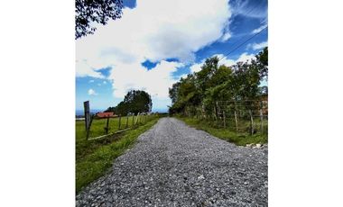 Terreno - Potrerillos Dolega