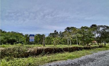 Terreno - Potrerillos Dolega