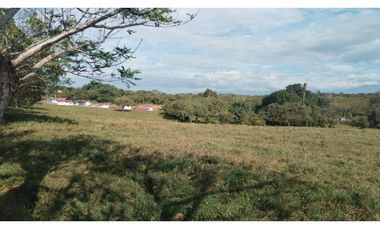 Finca  para Desarrollar  urbanización,  Comercial  o   Fábricas