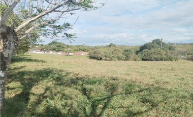 Finca  para Desarrollar  urbanización,  Comercial  o   Fábricas