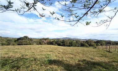 Finca  para Desarrollar  urbanización,  Comercial  o   Fábricas