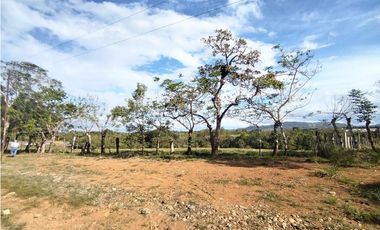 Finca  para Desarrollar  urbanización,  Comercial  o   Fábricas