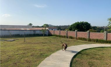 ALQUILER DE CASA EN PH ROYAL PARK ELITE - HATO MONTAÑA, PANAM OESTE