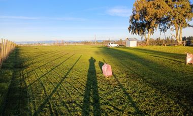 CAMINO HUAPE KILÓMETRO 7 CHILAN