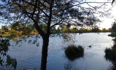 CAMINO HUAPE KILÓMETRO 7 CHILAN