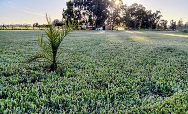 CAMINO HUAPE KILÓMETRO 7 CHILAN