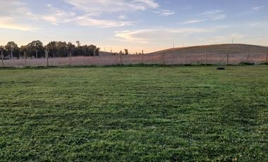 CAMINO HUAPE KILÓMETRO 7 CHILAN