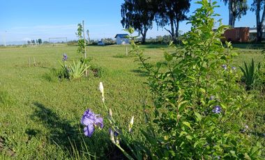 CAMINO HUAPE KILÓMETRO 7 CHILAN