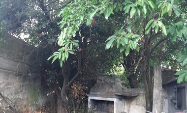 Casa - Burzaco Este