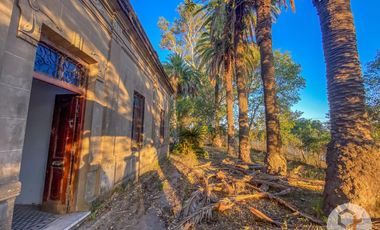 Oportunidad Terreno en Libertador Esquina Corrientes. 16 hectareas y casa de campo
