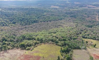 Se Vende Chacra de 82 ha San Javier Misiones