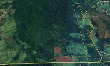Se Vende Chacra de 82 ha San Javier Misiones