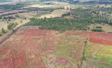 Se Vende Chacra de 82 ha San Javier Misiones