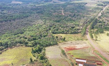 Se Vende Chacra de 82 ha San Javier Misiones