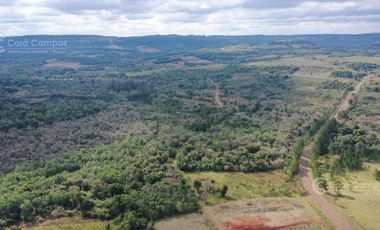 Se Vende Chacra de 82 ha San Javier Misiones
