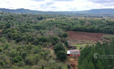 Se Vende Chacra de 82 ha San Javier Misiones