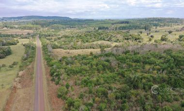 Se Vende Chacra de 82 ha San Javier Misiones