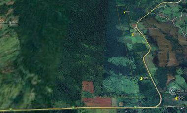 Se Vende Chacra de 82 ha San Javier Misiones