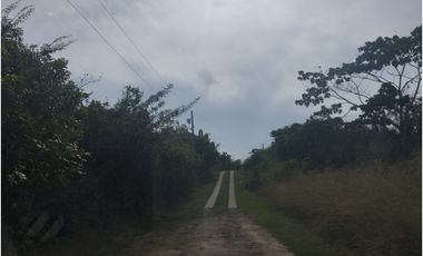 Se vende terreno en La Tambora, El Cacao, Capira