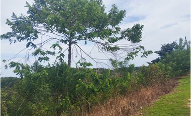 Se vende terreno en La Tambora, El Cacao, Capira