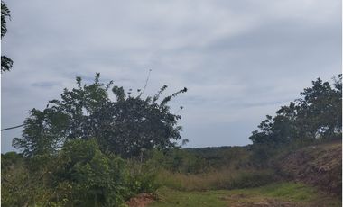 Se vende terreno en La Tambora, El Cacao, Capira