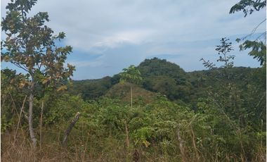 Se vende terreno en La Tambora, El Cacao, Capira